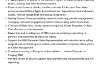 Job Description For Sales Support